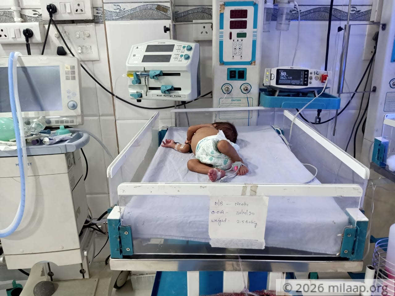 A9e53ab8 1fed 4cdb 8306 ffc8ec20010f oizrim 1588574990