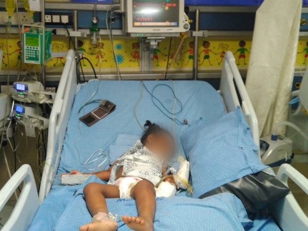 2-year-old Grice urgently needs a liver  transplant to survive