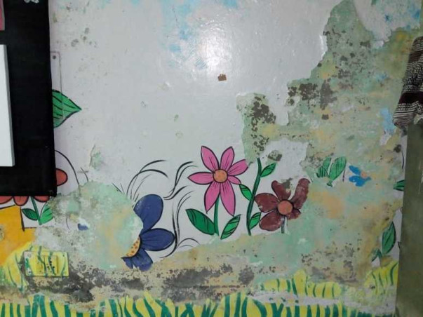 Raising Money to Redecorate Shelters