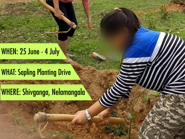 PlantALife - Sapling Plantation Near Nelamangala, Bangalore