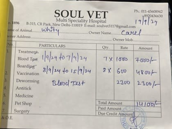 Urgent Help Needed for Whitey's Maggot wound treatment