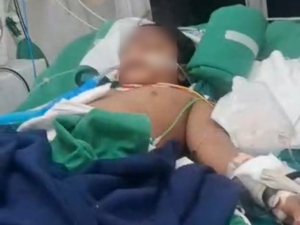 Help my daughter fight Dengue Virus with multiple organ dysfunction