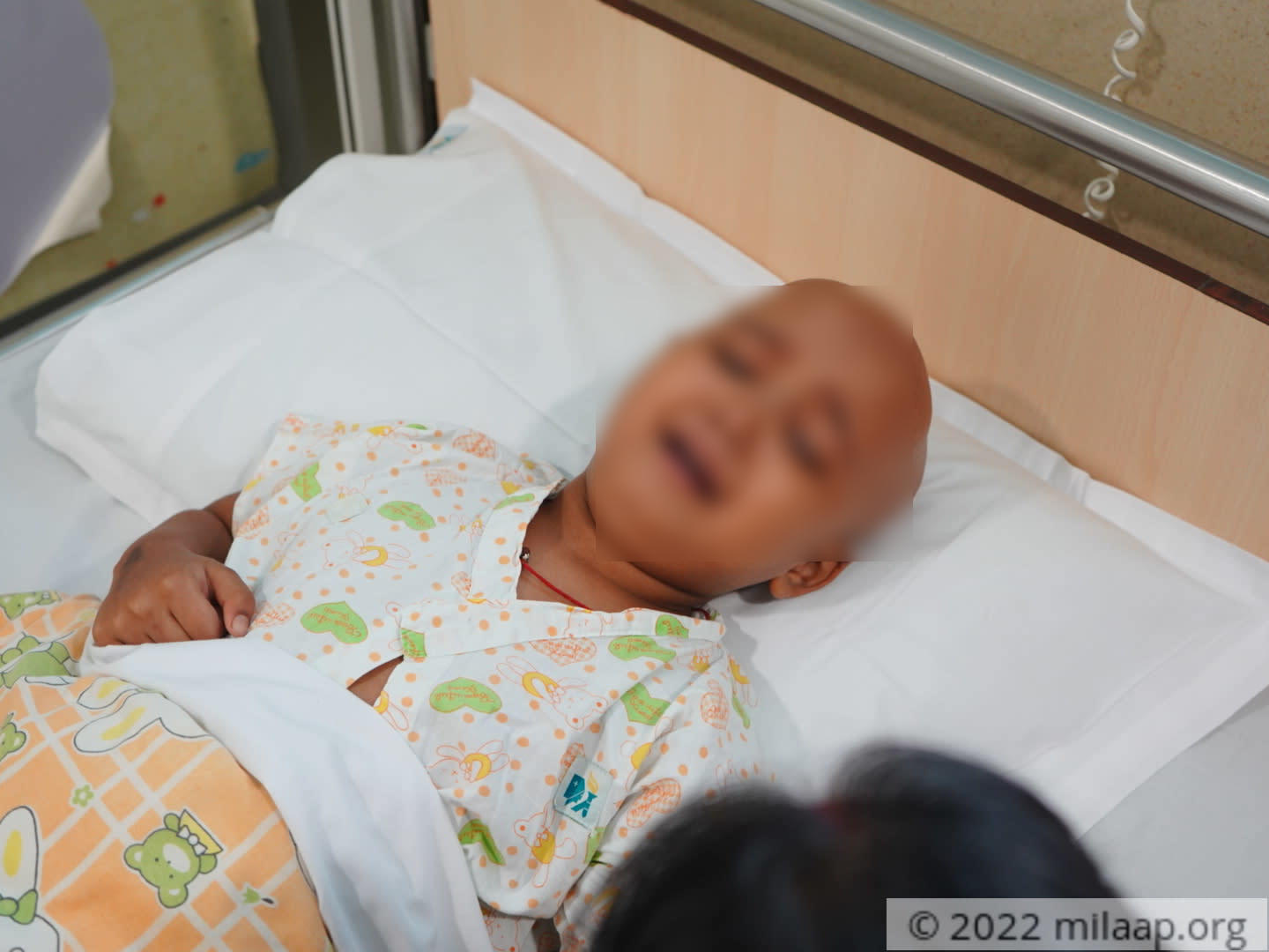 Dsc01248 1 tik01i 1645514346 aidyan 1646137018