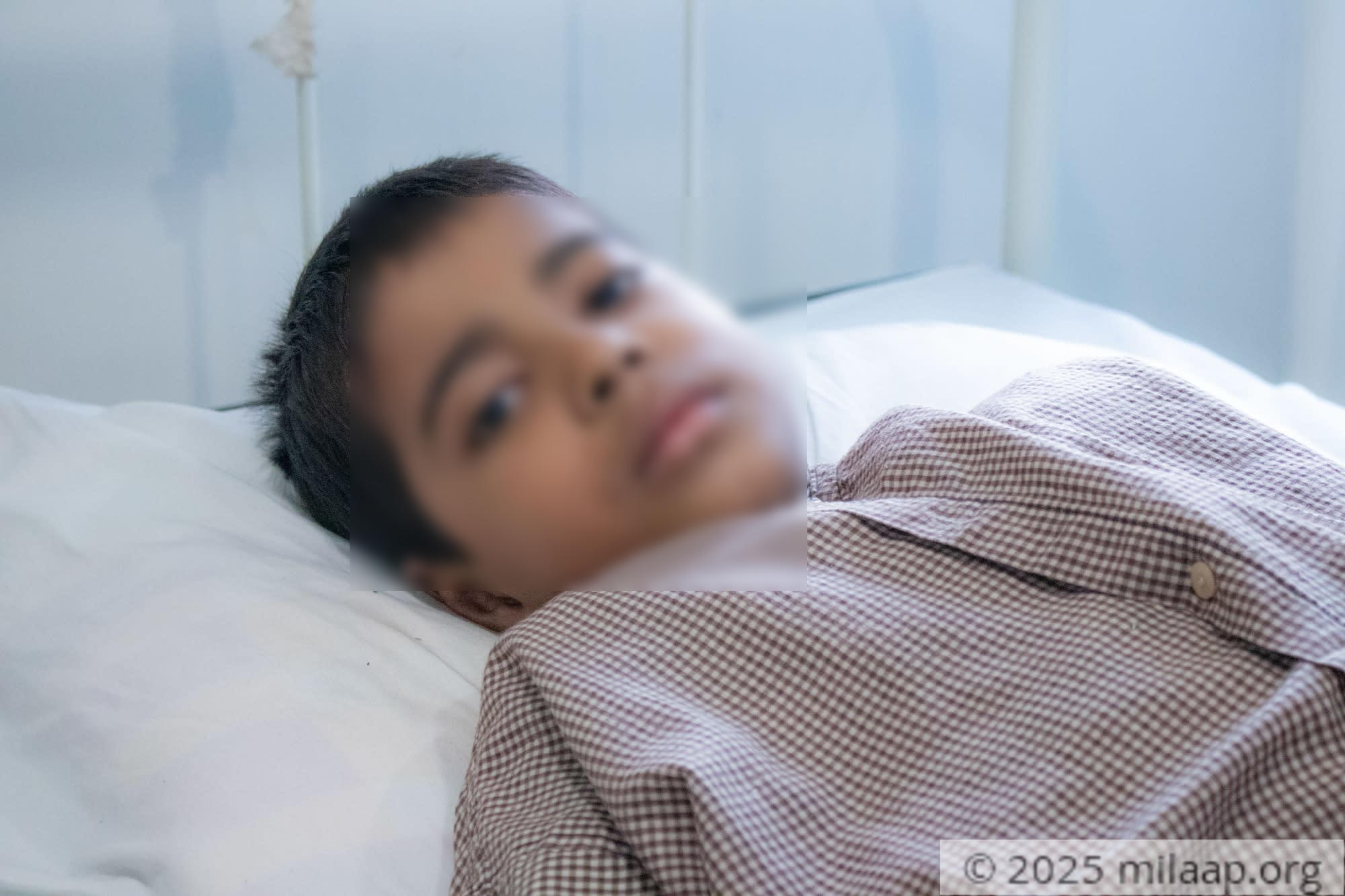 Img 7961 vimsrl 1575363310