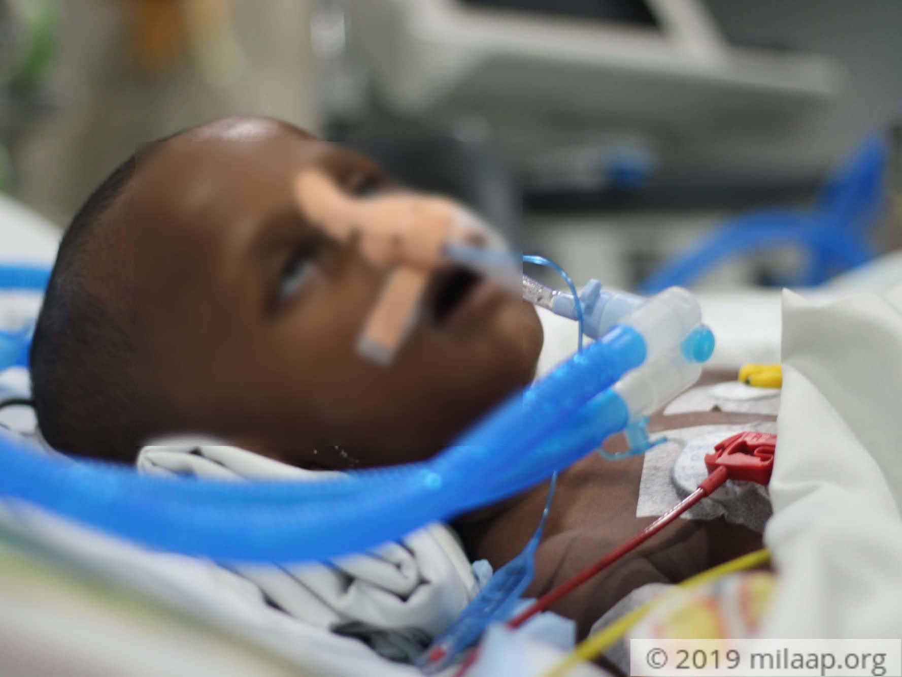 20191201140308 img 9394 udr7nx 1575289294 dvq4wa 1575881197 1576133158