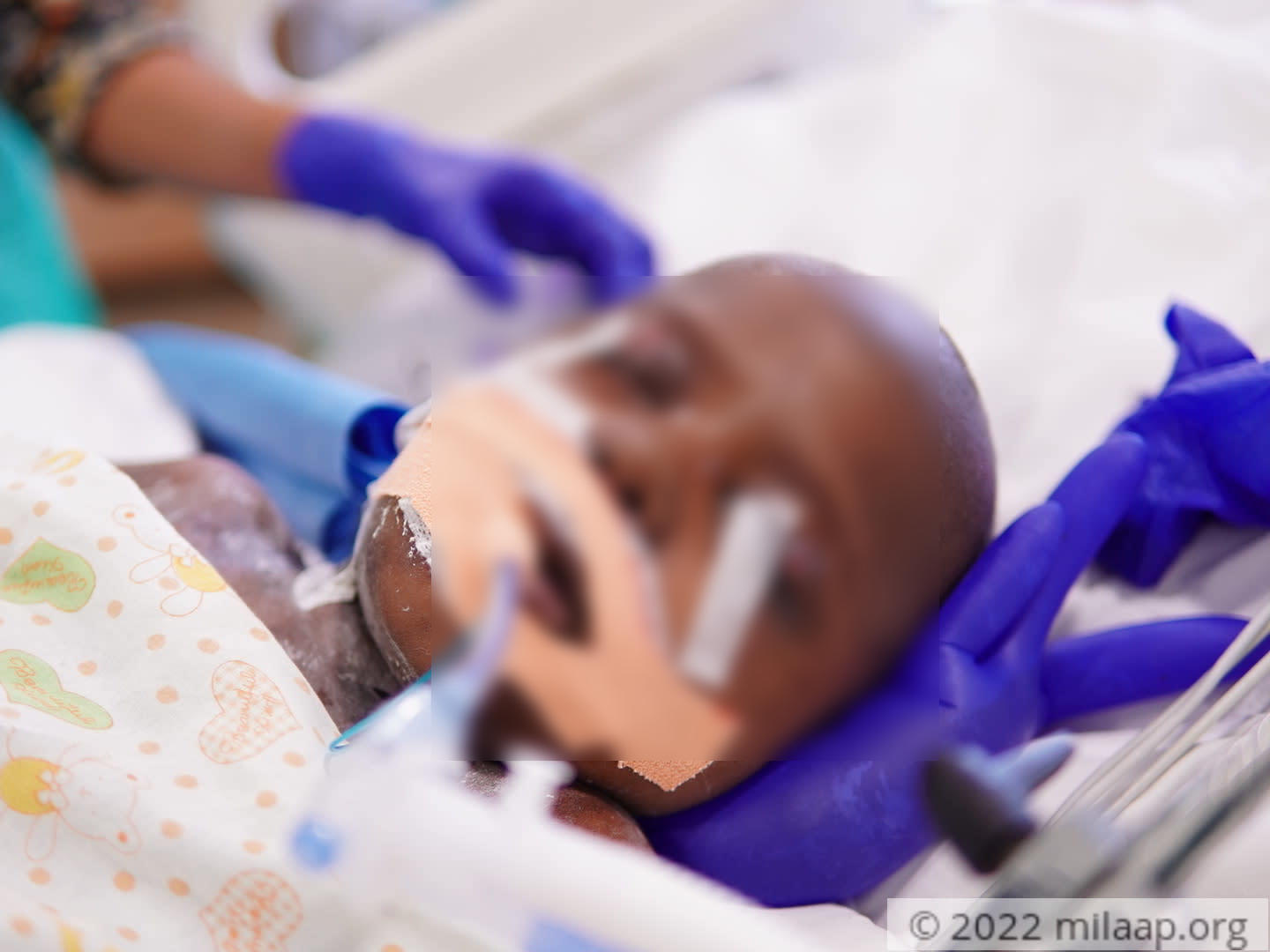 Dsc00693 iqgpl4 1657748293 gkkxoy 1658383203