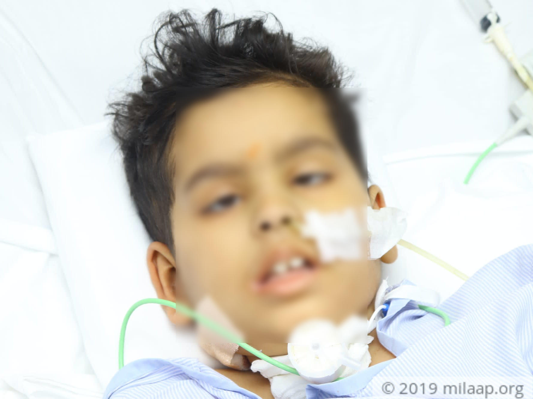 Img 8138 npsqcs 1572323869 cxhsey 1574157676