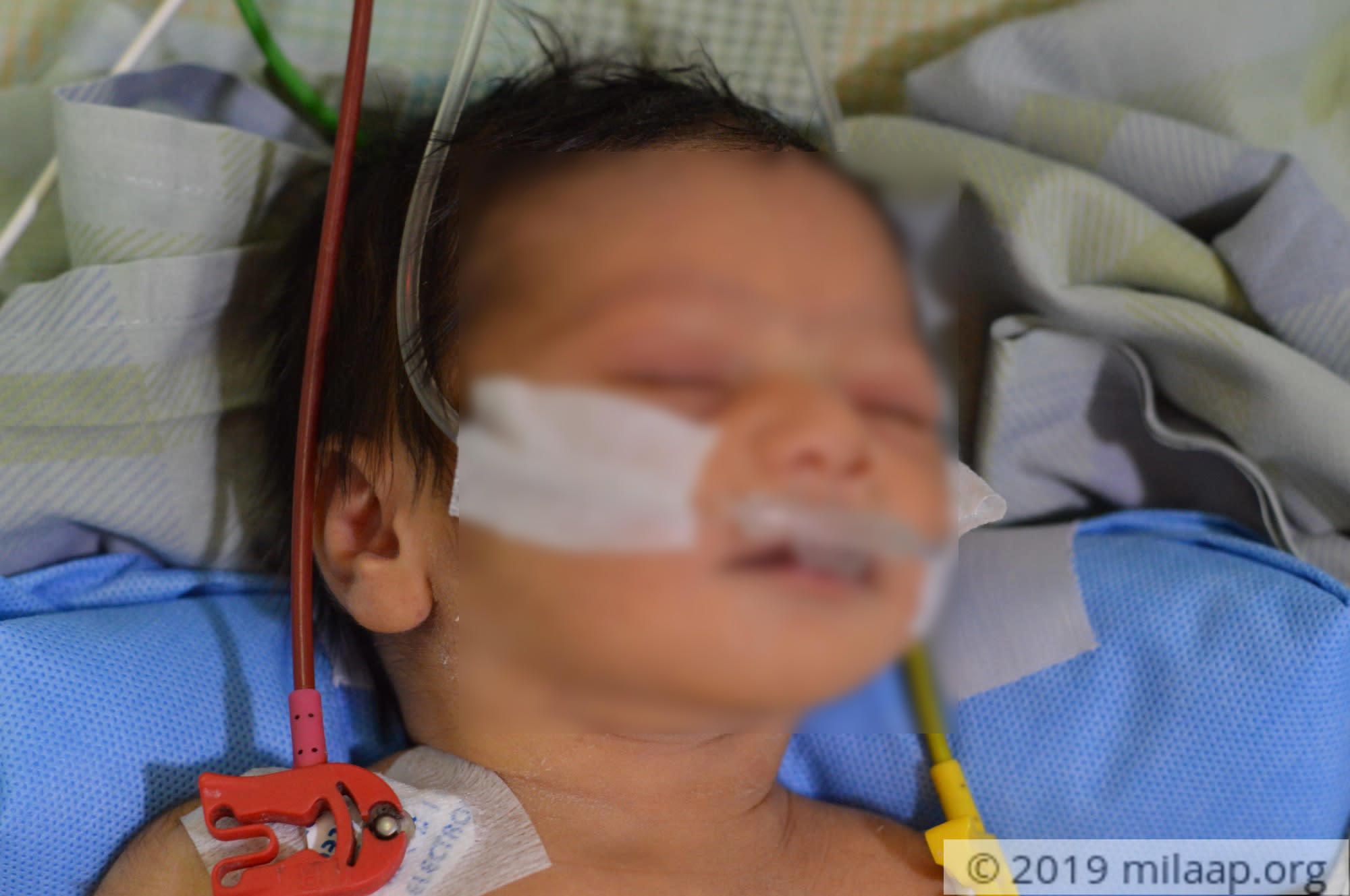 Dsc 0277 ptfzdr 1574841791 cuvozf 1576044907