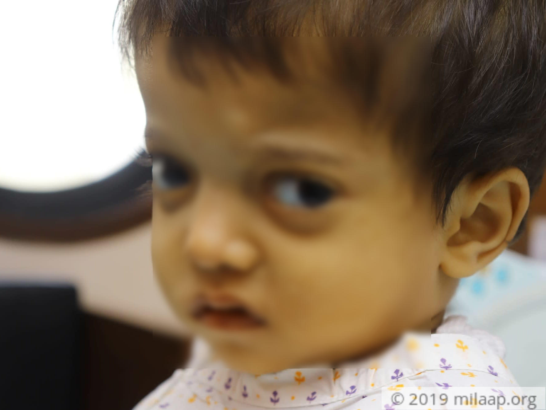 Img 1947 nyajlo 1571633861 kgkcsv 1571735427