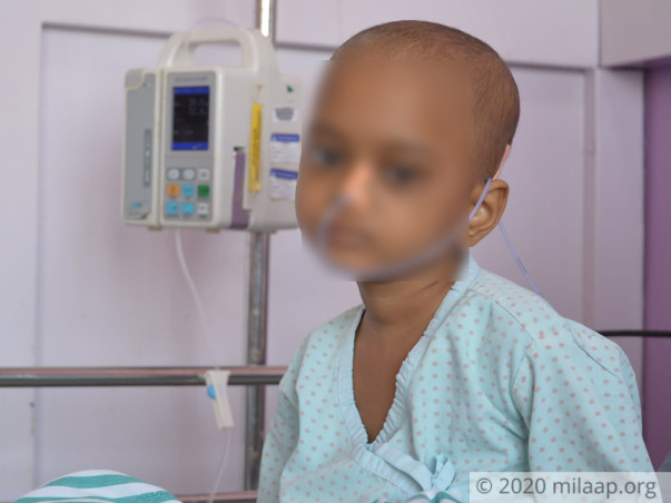 help-abdul-shamil
