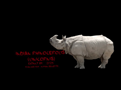 Short Film \