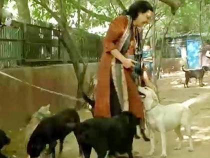 Help Friendicoes Build An Extra Shelter Milaap Friendicoes lifetime sanctuary care in gurgaon which is home to 72 rescued & retired horses by friendicoes. help friendicoes build an extra shelter