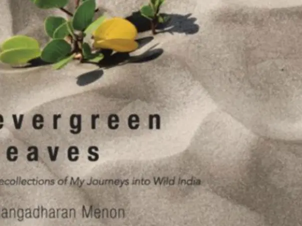 Through my book, Evergreen Leaves - experience the years of my travelling in the wild.