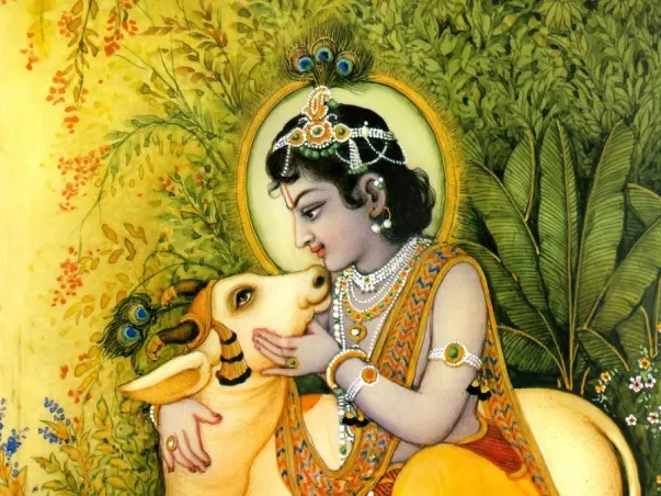 I am fundraising to shree kamdhenu sevaashram