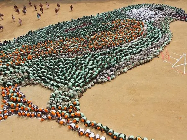 Fundraising to provide feeders and houses for sparrows in parks of Chennai. Join the project!