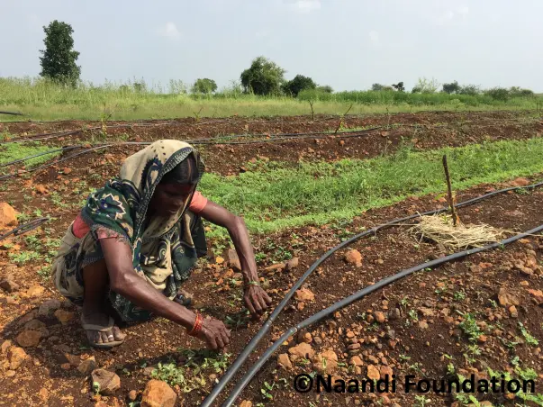 Help us raise funds to help bring sustainable incomes to the farmers of Vidarbha through Mahindra’s #SeedTheRise initiative