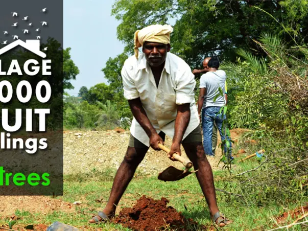 I am fundraising to help farmers with sustainable income through tree plantation
