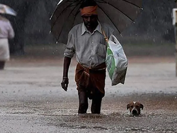 Fundraising to help the flood affected survivors in Chennai. Every support counts!