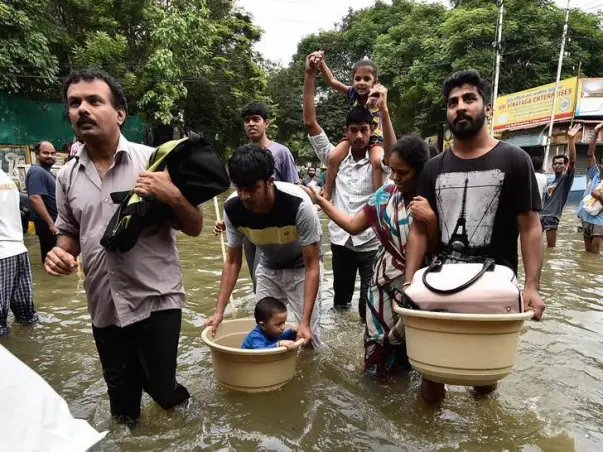 Help the stranded pets to find food and shelter during this tamilnadu flood