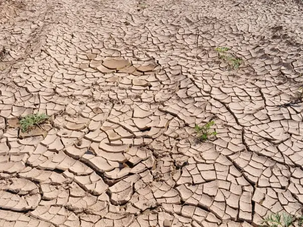 Bring relief to drought affected regions of Maharashtra