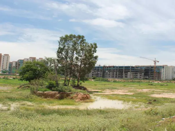 Nandi Hillathon: Soulkere Lake Rejuvenation, Sarjapur Road