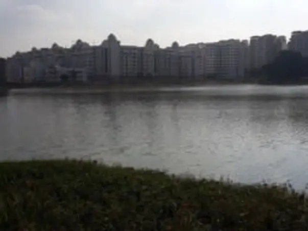 Nandi Hillathon: Munnekolalu Lake Cleanup, Brookfield