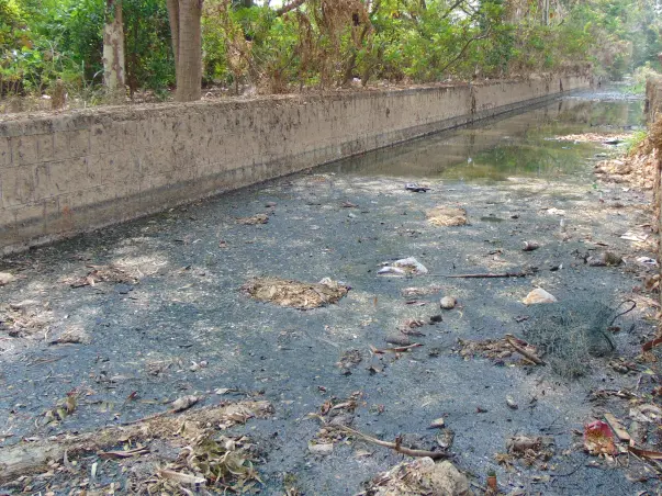 Nandi Hillathon: Restoration of Chellakere Lake