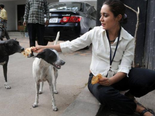 Help Anjali buy a rescue van for saving stray dogs