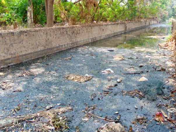 Peace Ride: Restoration of Chellakere Lake