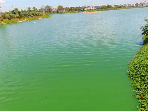 Peace Ride: Restoration of Allalasandra Lake