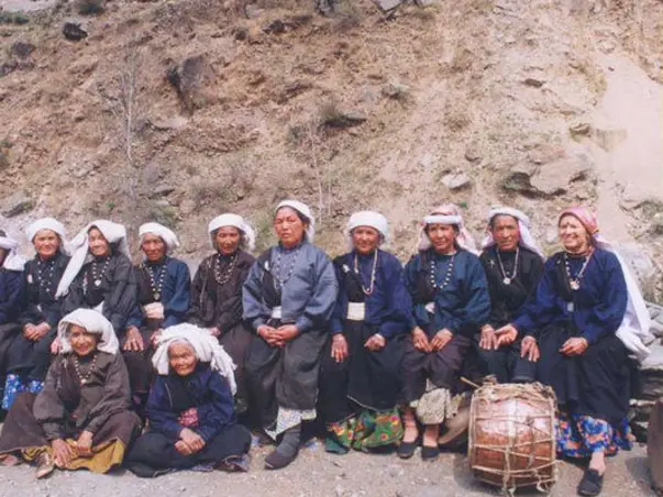 Chipko Rebound