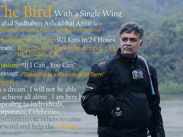 Bird with a single wing