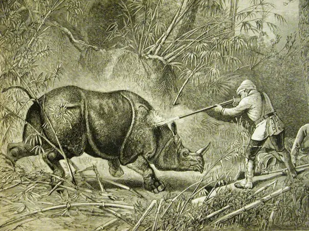 Short Film "UNICORN" - about the extinction of rhinocerous