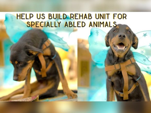 Help Build Rehab Unit For Specially-abled Animals