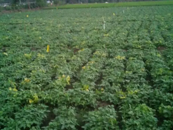 Save dryland farmers - make agriculture possible in drought.