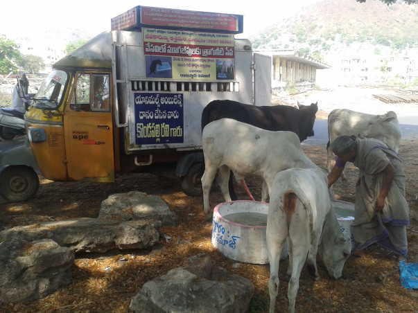 Help us Quench Thirst of Animals in Vijayawada this Summer