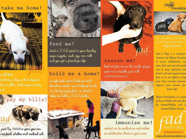 Help DhyanFoundation #HelpTheVoiceless