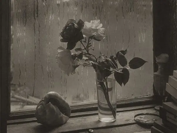 A Rose Seller In Prague | Short Film by Rajdeep Dhanuka | Crowdfunding