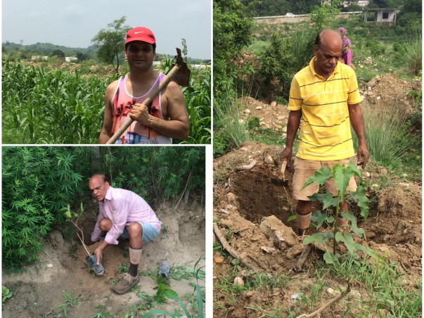 Planting 1000 Trees in Una, Himachal Pradesh