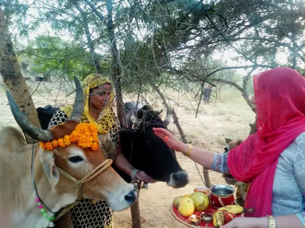 New Beginning for Kavita and Rajesh’s Dream – Shri Gau Rashtram