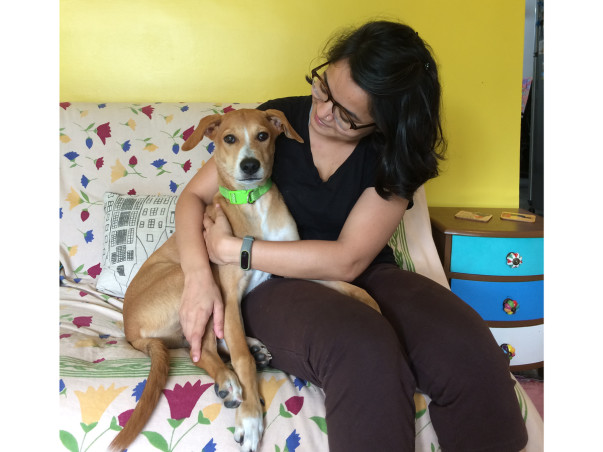 Help Roadie become a Homie ✈