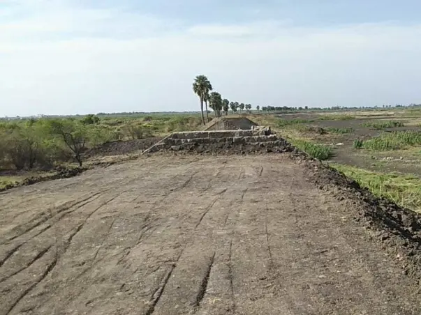 Tree Plantation in Pudukkottai & Sivakasi of Tamil Nadu