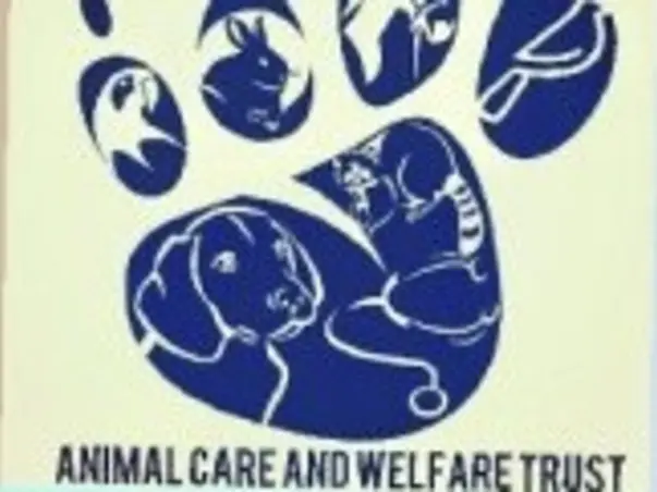 Help Sick and Injured Animals Get Ambulance Service on the Spot