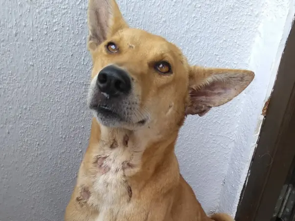 Help Thor recover!
