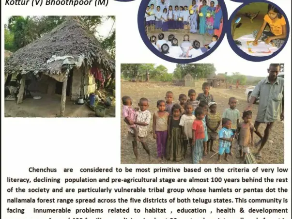 Providing Solar Lights To Tribal Families  At Nallamala Forest