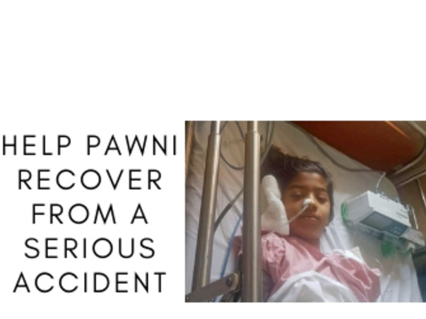 Help Pawni Recover From A Serious Accident