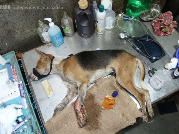 AASTHA  (ANIMAL SHELTER CUM HOSPITAL)