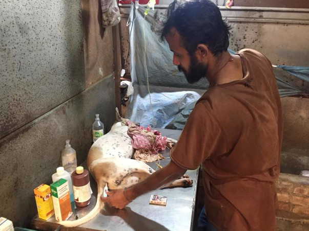 AASTHA  (ANIMAL SHELTER CUM HOSPITAL)