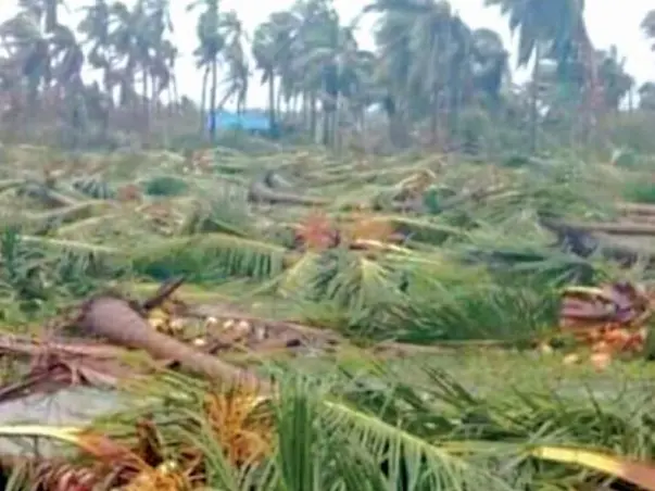 Help Gaja Cyclone Victims Recover