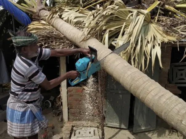 Rebuild Pushpavanam after Cyclone Gaja